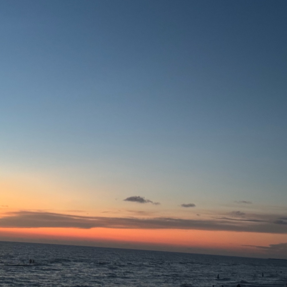 Meet your Posher, Jacee